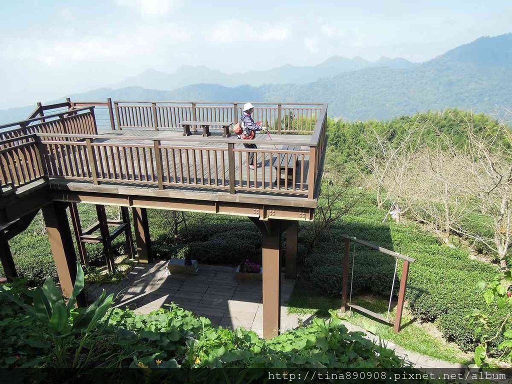 3-1031102-登山社-嘉義-雲之道步道(20).jpg