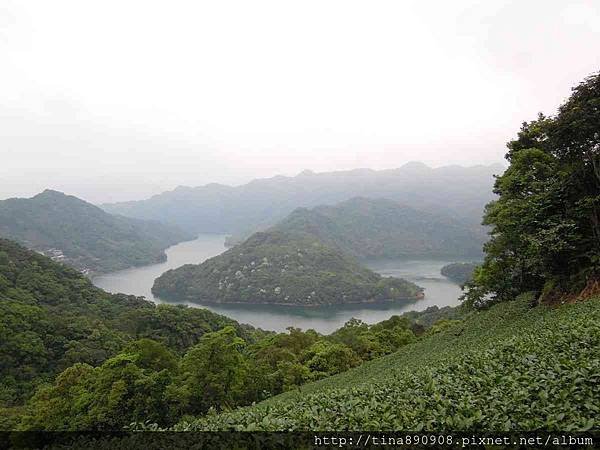 1040425-石碇-千島湖+八卦茶園 (1).jpg