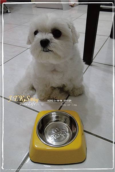 KIKI小妞妞．新飯碗