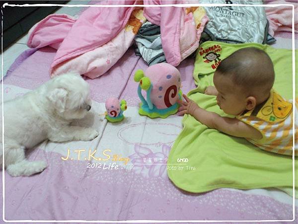 小星星6～7M．大蝸戰小蝸
