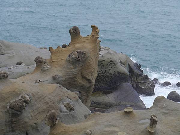 和平島19