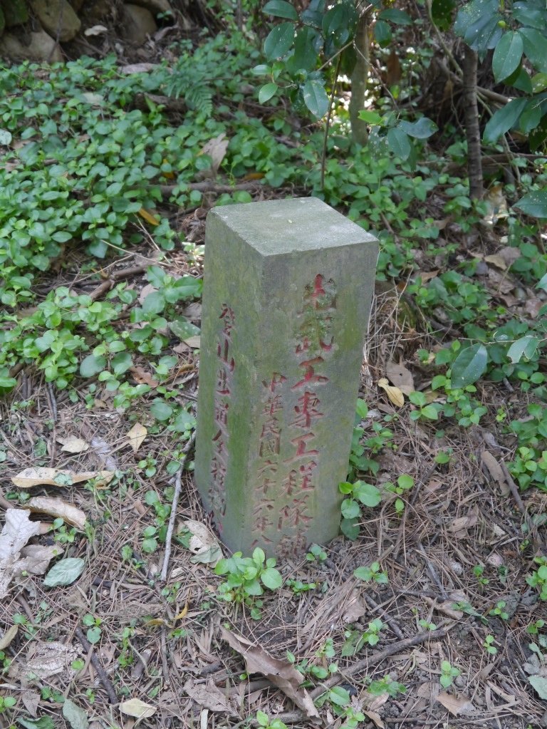 忠義山6