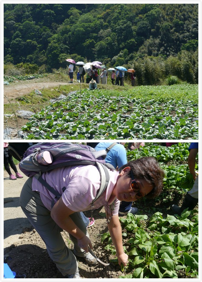 東眼山組合5