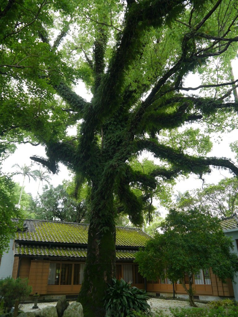 文學館2