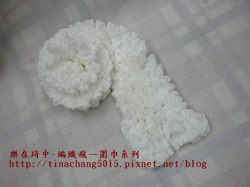 千層雪白.jpg