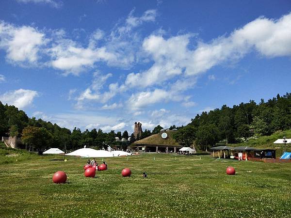 IMG20190729141008.jpg