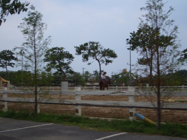 CIMG6640.JPG