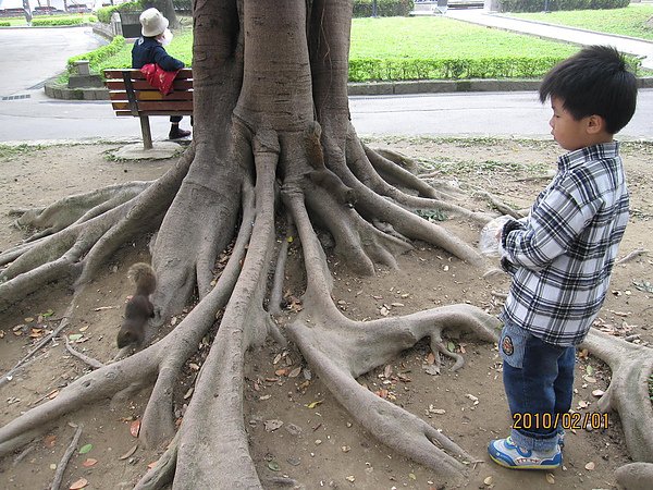 201002二二八公園 044.jpg