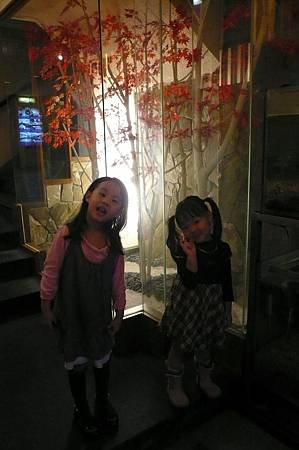 P1030774.JPG