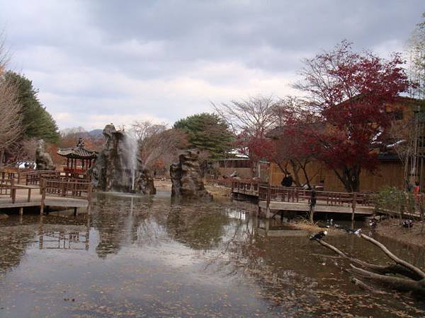 DSC08979.JPG
