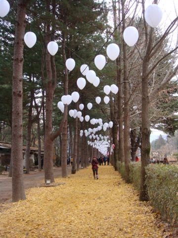 DSC08987.JPG