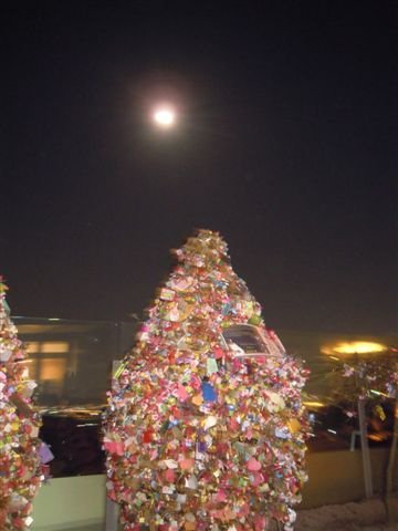 DSCN2864.JPG