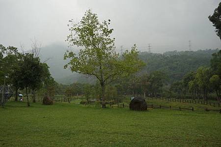 DSC06586.jpg