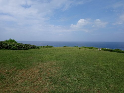 DSC_0226.jpg