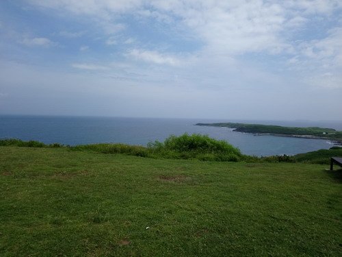 DSC_0229.jpg