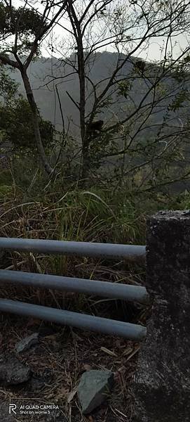 LINE_ALBUM_萬年大峽谷_230406_2.jpg