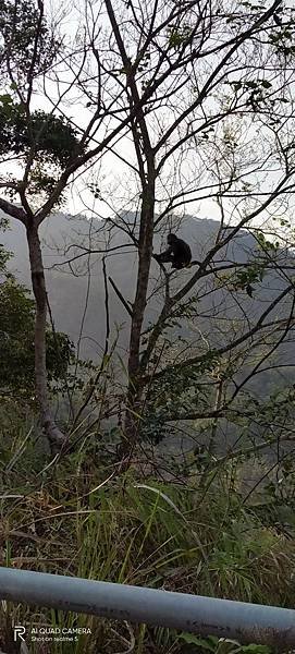 LINE_ALBUM_萬年大峽谷_230406_0.jpg