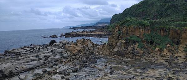 LINE_ALBUM_和平島_230516_10.jpg