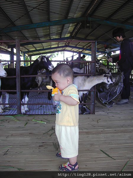PICT2676.JPG