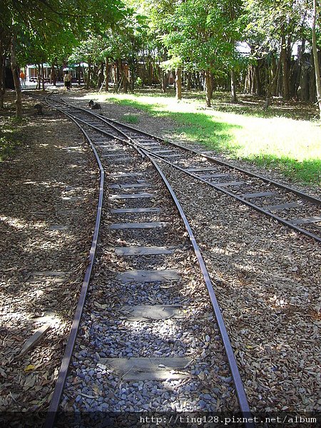 PICT2572.JPG