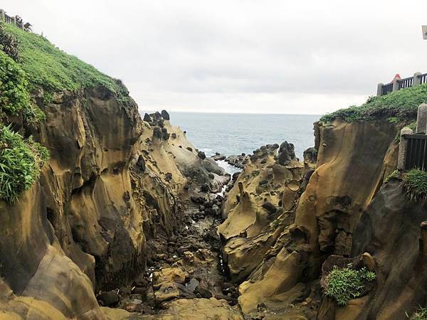 S__28786767.jpg