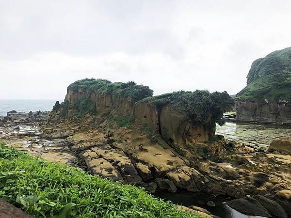 S__28786771.jpg