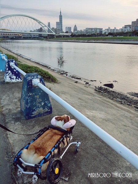 IMAG0629