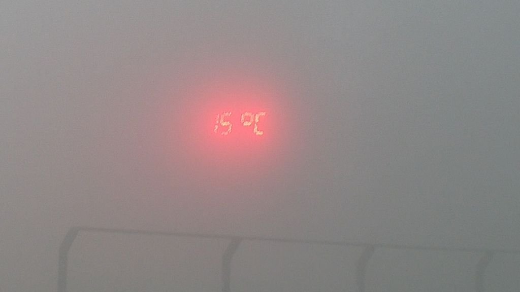 20141111_163527.jpg