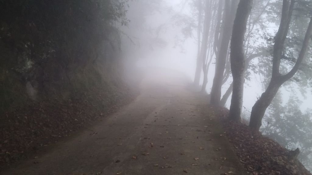 20141111_164127.jpg