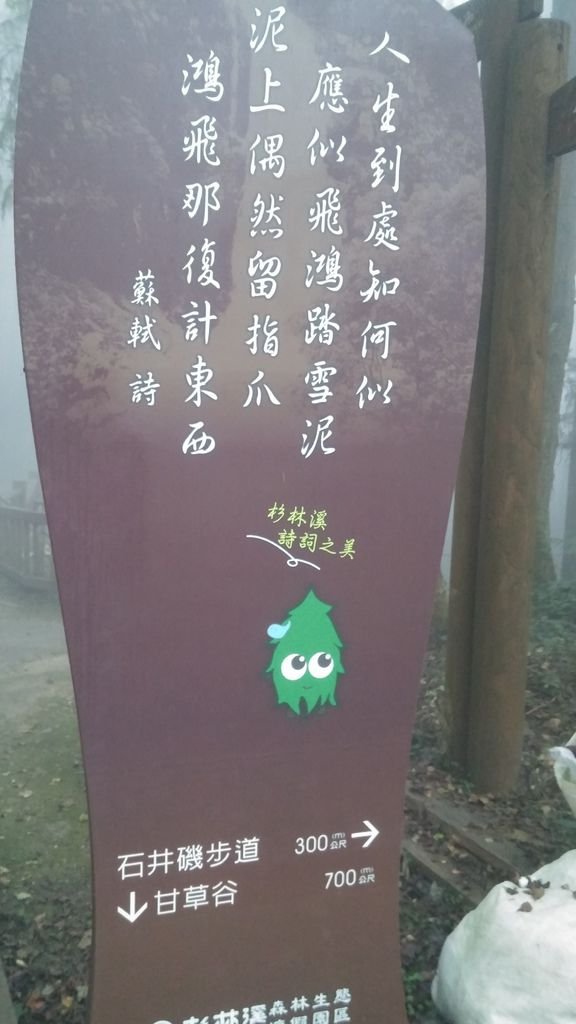 20141111_165327.jpg
