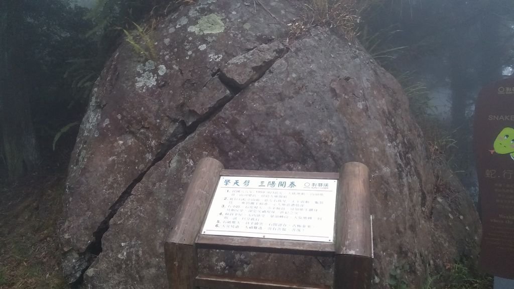 20141111_170217.jpg