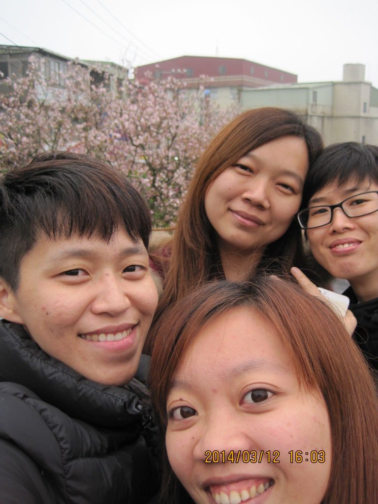 IMG_4950.JPG