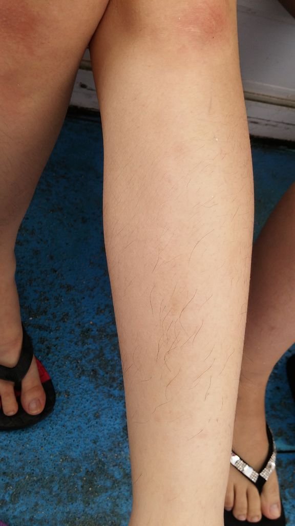 20150423_121129.jpg