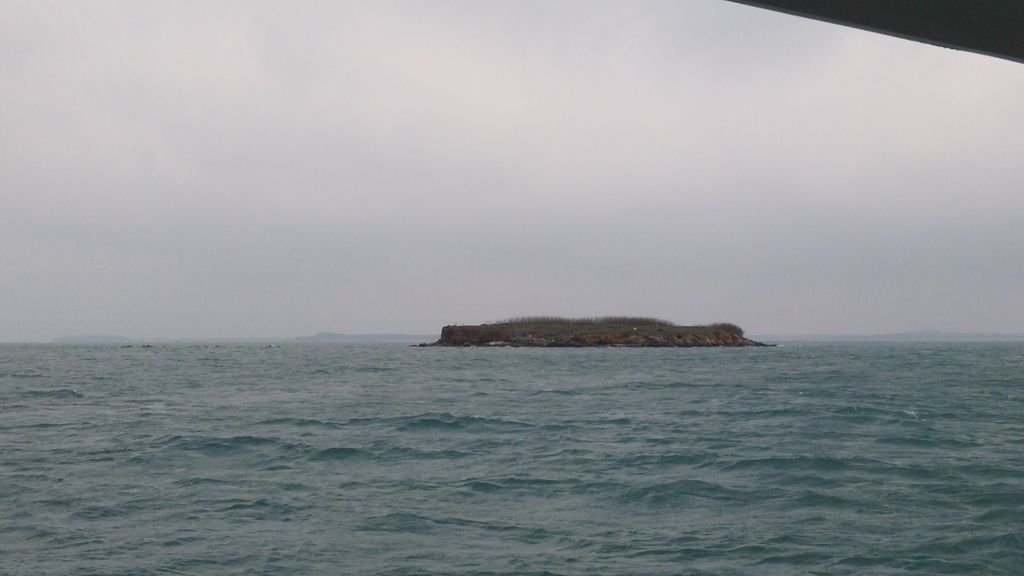 20150423_141336.jpg