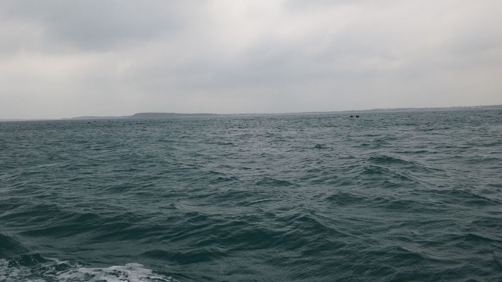 20150423_141450.jpg