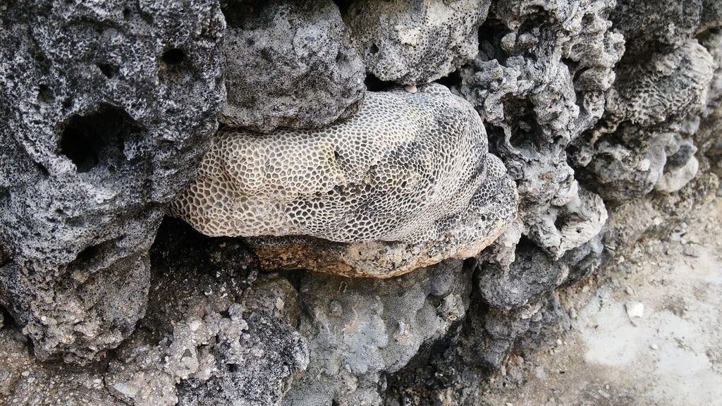 20150423_143134.jpg