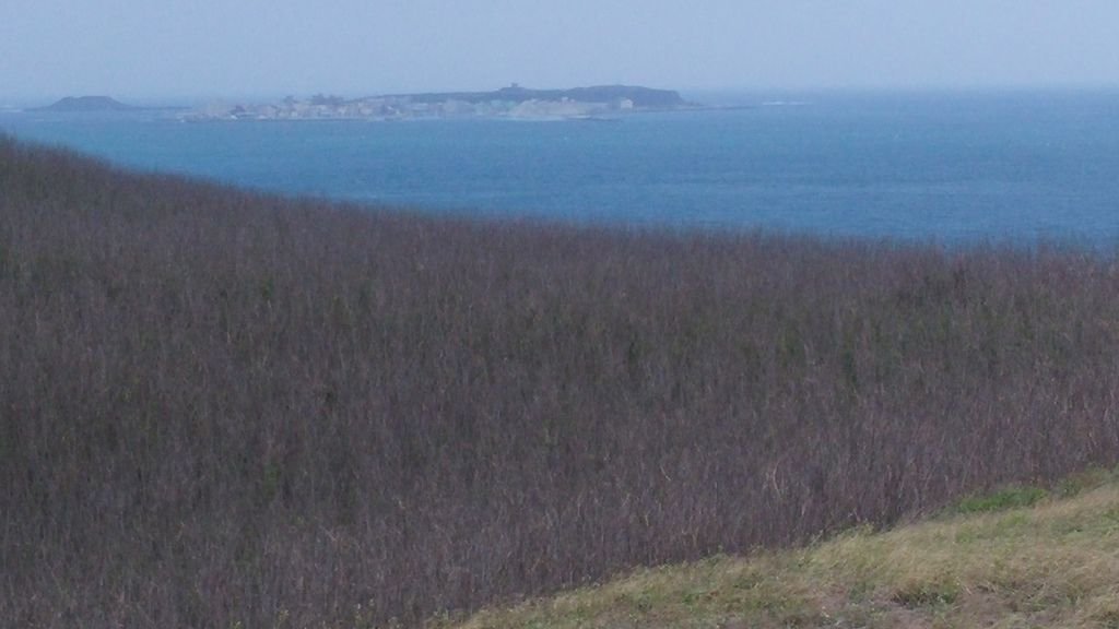 20150423_150457.jpg