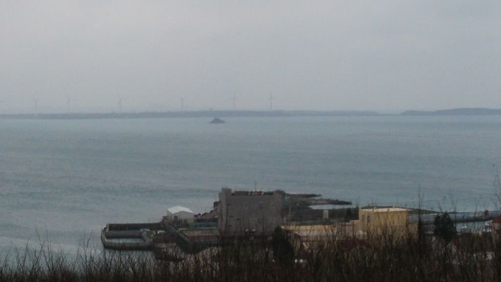 20150423_150540.jpg