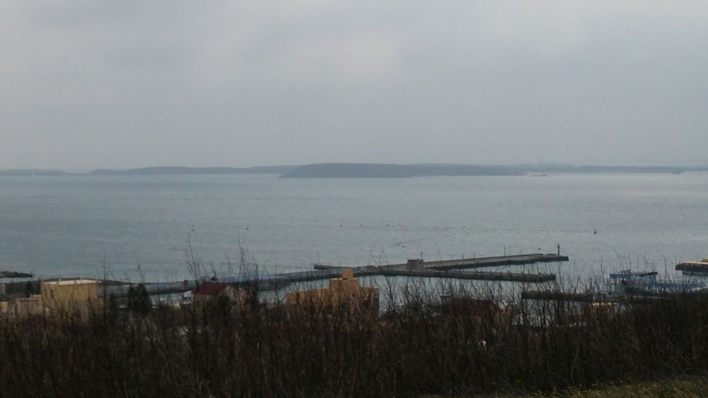 20150423_150551.jpg