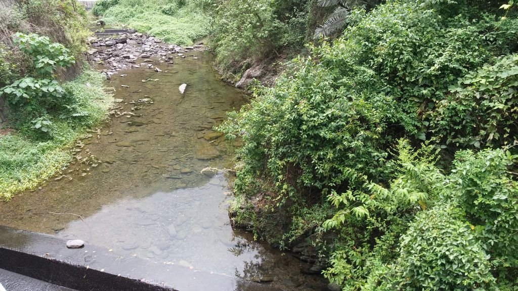 20150702_140243.jpg
