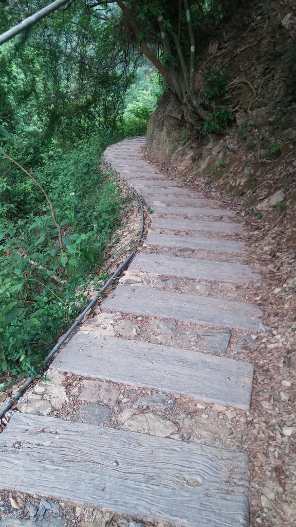 20150702_145056.jpg