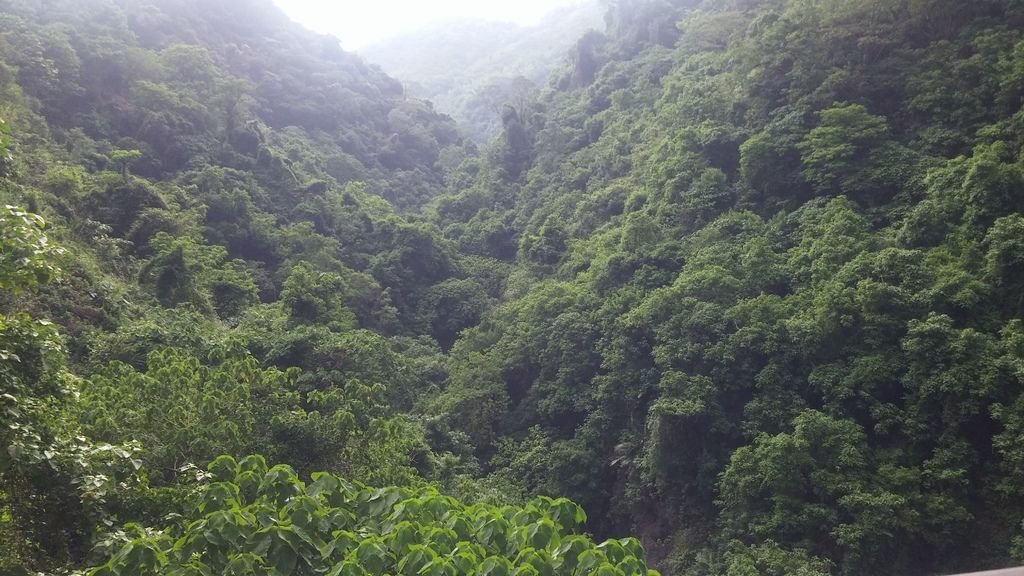 20150702_150149.jpg