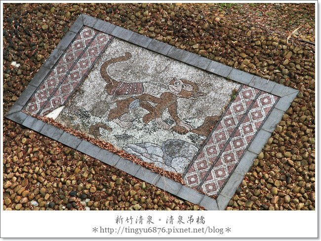 清泉吊橋21.JPG