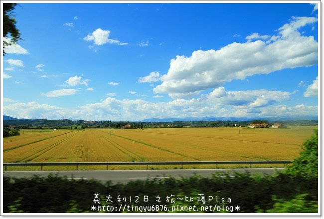 義大利-比薩12.JPG