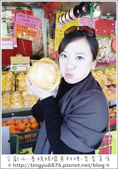 合歡山81.JPG
