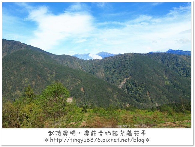 武陵農場73.JPG