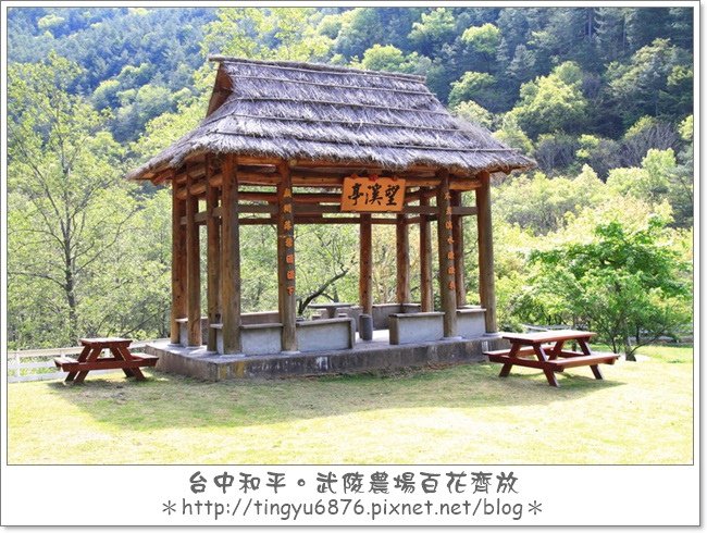武陵農場192.JPG