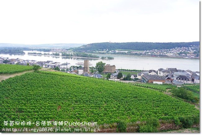 呂德斯海姆159.JPG