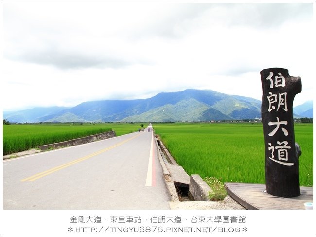 伯朗大道03.JPG