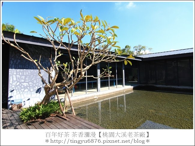 大溪老茶廠127.JPG